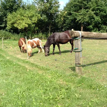 Bed & Breakfast Erjo
